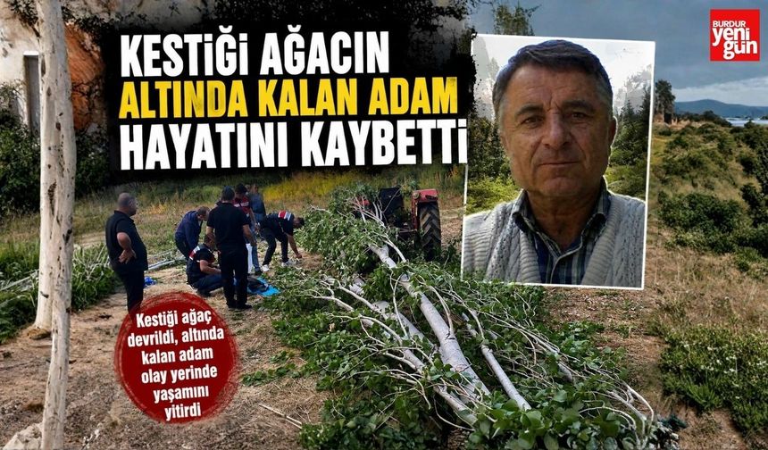 Kestiği Ağacın Altında Kalan Adam Hayatını Kaybetti