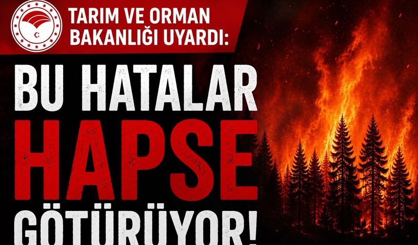 Orman Yangınlarında Ağır Cezalar Kapıda