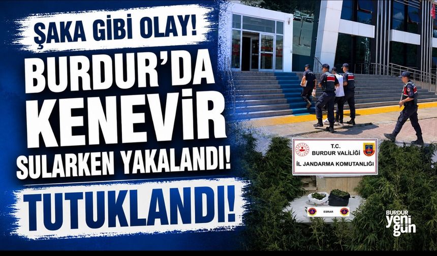 Burdur'da Kenevir Sularken Yakalandı!