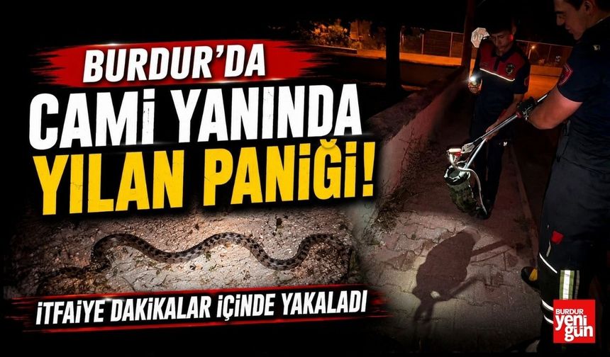 Burdur'da Cami Yanında Yılan Paniği! İtfaiye Dakikalar İçinde Yakaladı