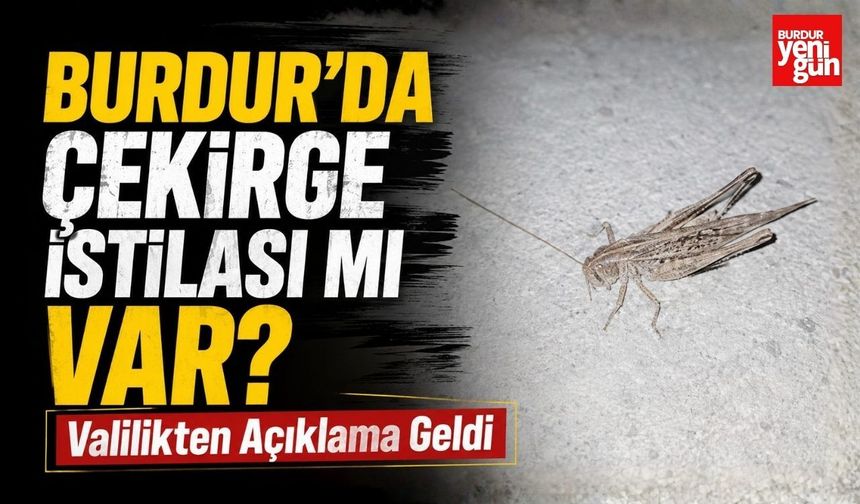Burdur'da Çekirge İstilası mı Var? Valilikten Açıklama Geldi