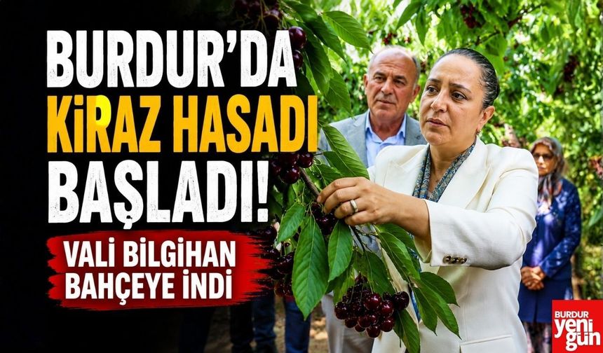 Burdur'da Kiraz Hasadı Başladı! Vali Bilgihan Bahçeye İndi