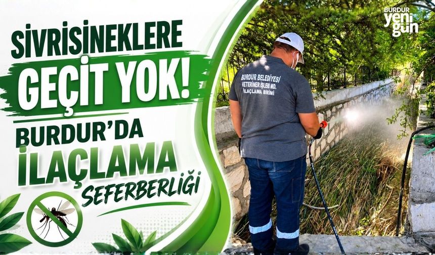 Sivrisineklere Geçit Yok: Burdur'da İlaçlama Çalışmaları Aralıksız Sürüyor